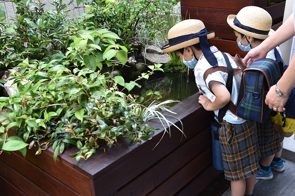 びおBOXガーデン