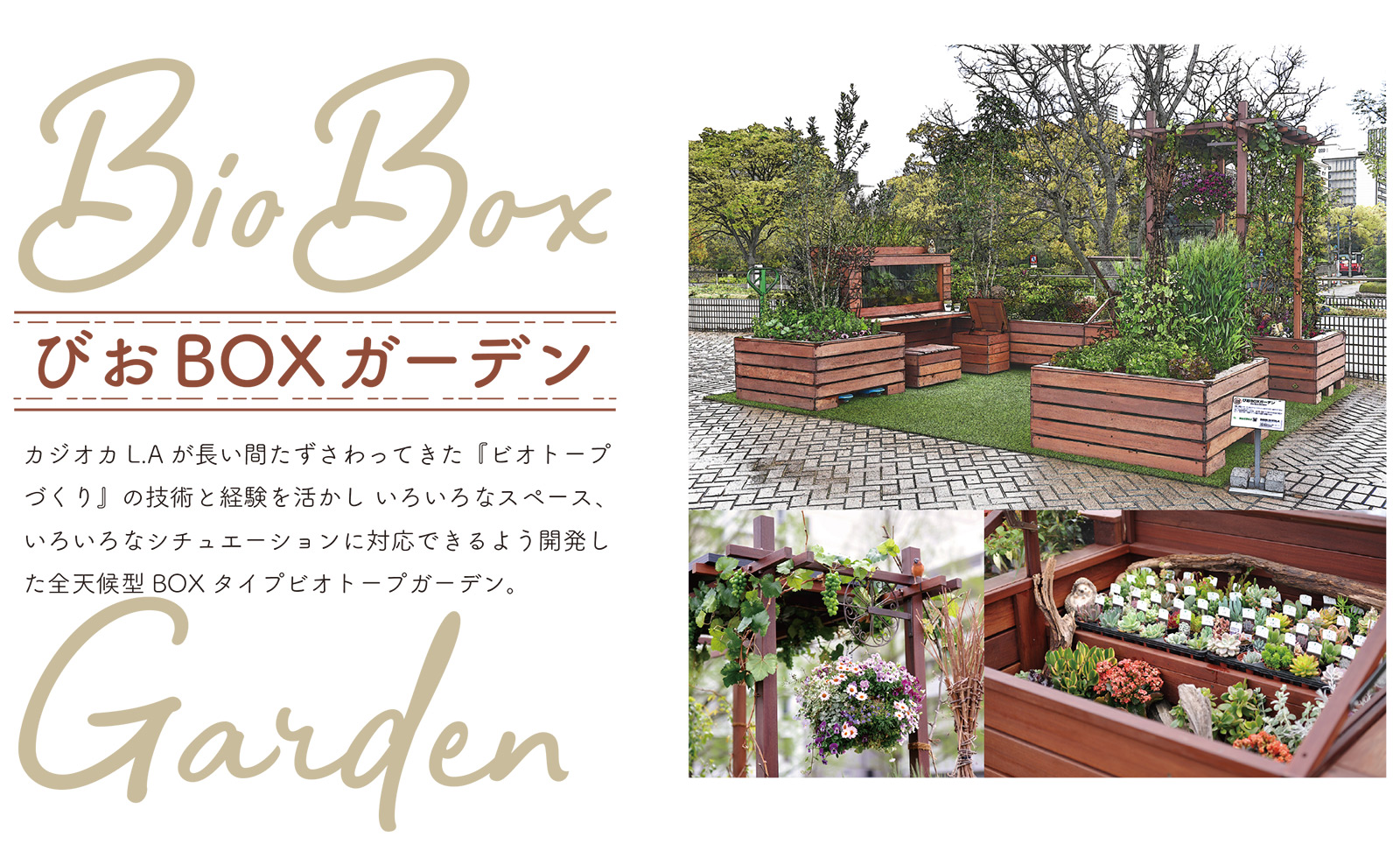 カジオカL.Aが長い間たずさわってきた『ビオトープづくり』の技術と経験を活かし いろいろなスペース、いろいろなシチュエーションに対応できるよう開発した全天候型BOXタイプビオトープガーデン。