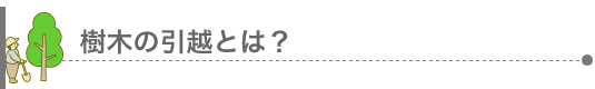 樹木の引越とは?