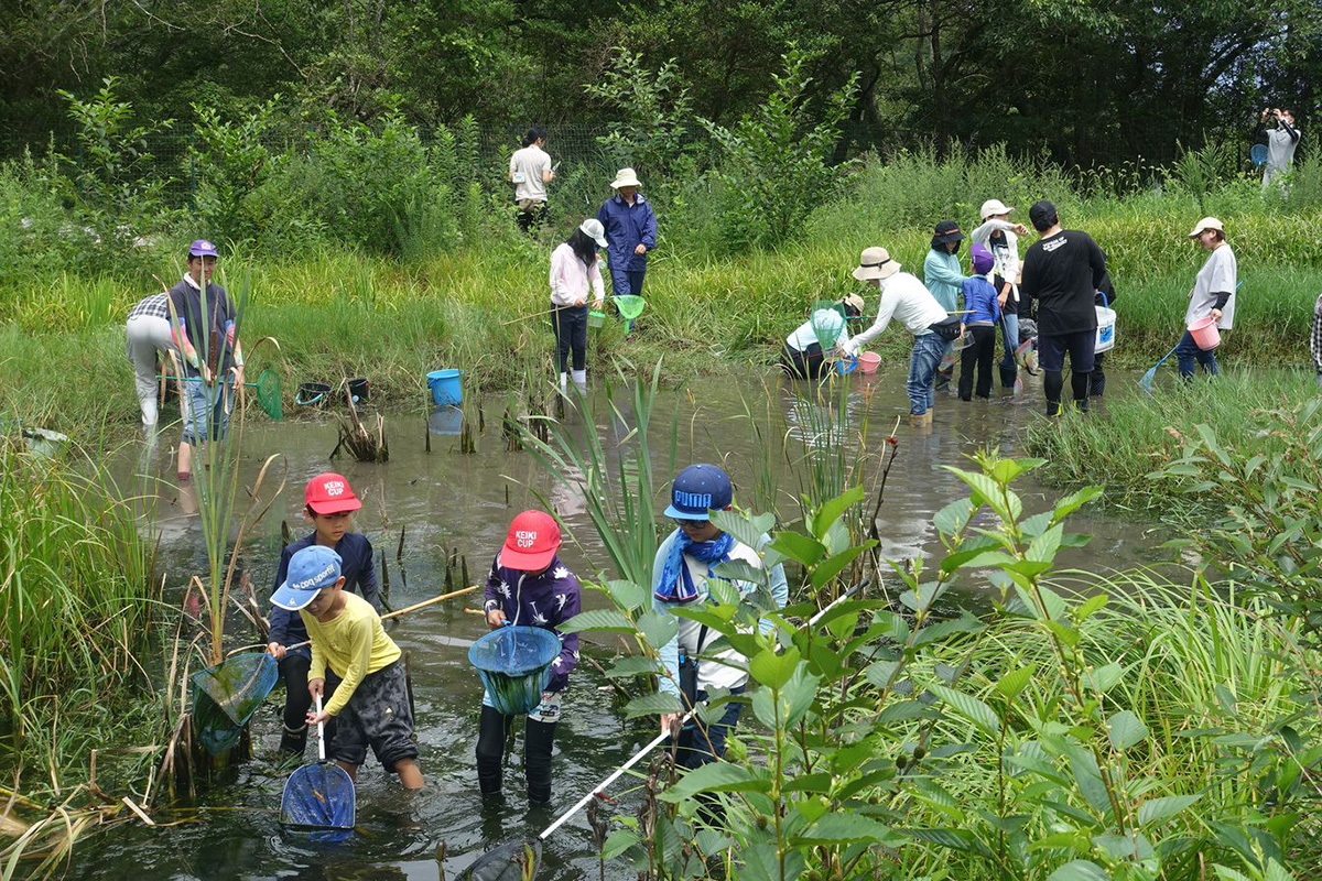 古鷹山ビオトープ自然観察会