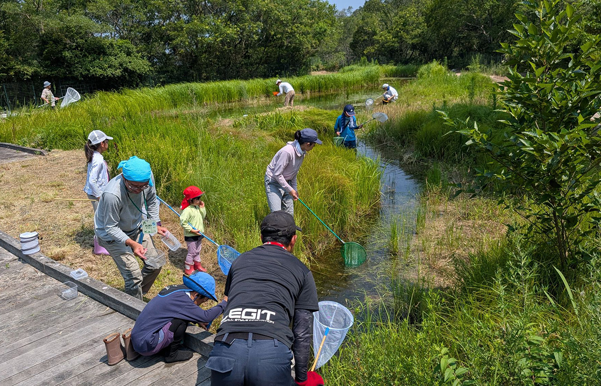 古鷹山ビオトープ自然観察会
