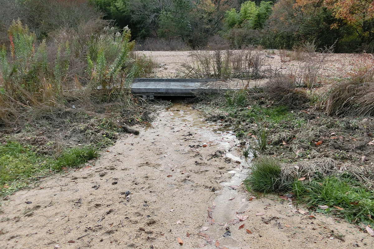 古鷹山ビオトープ自然観察会:豪雨の影響で山から土砂が流入してビオトープ池が埋まり、池の下流側の法面が崩壊してしまいました。