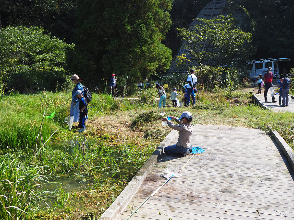 古鷹山ビオトープ自然観察会