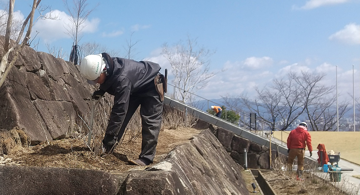 行者山太光寺:アジサイの移植作業